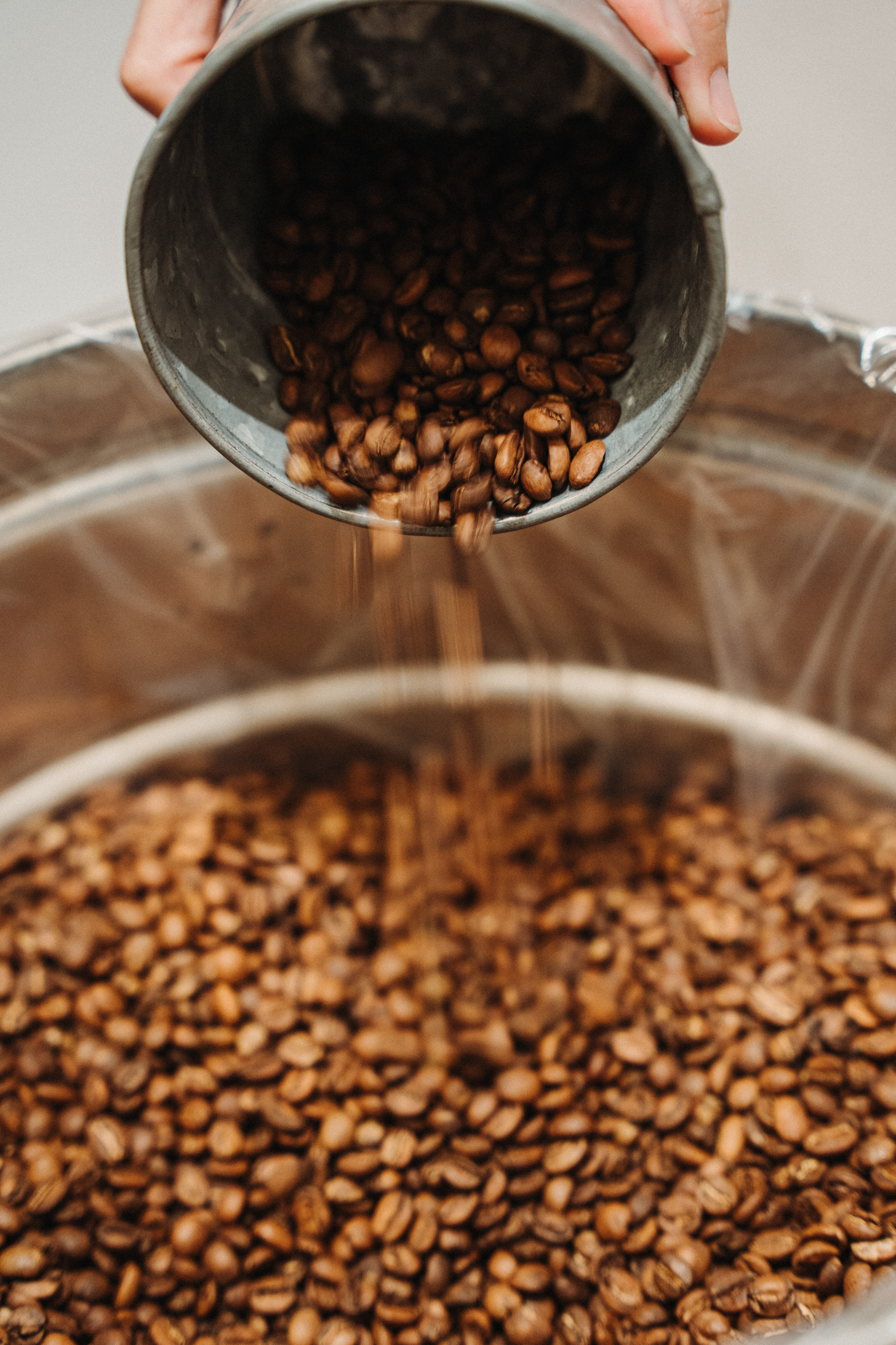 Café de especialidad en grano - Blend Escaramuza