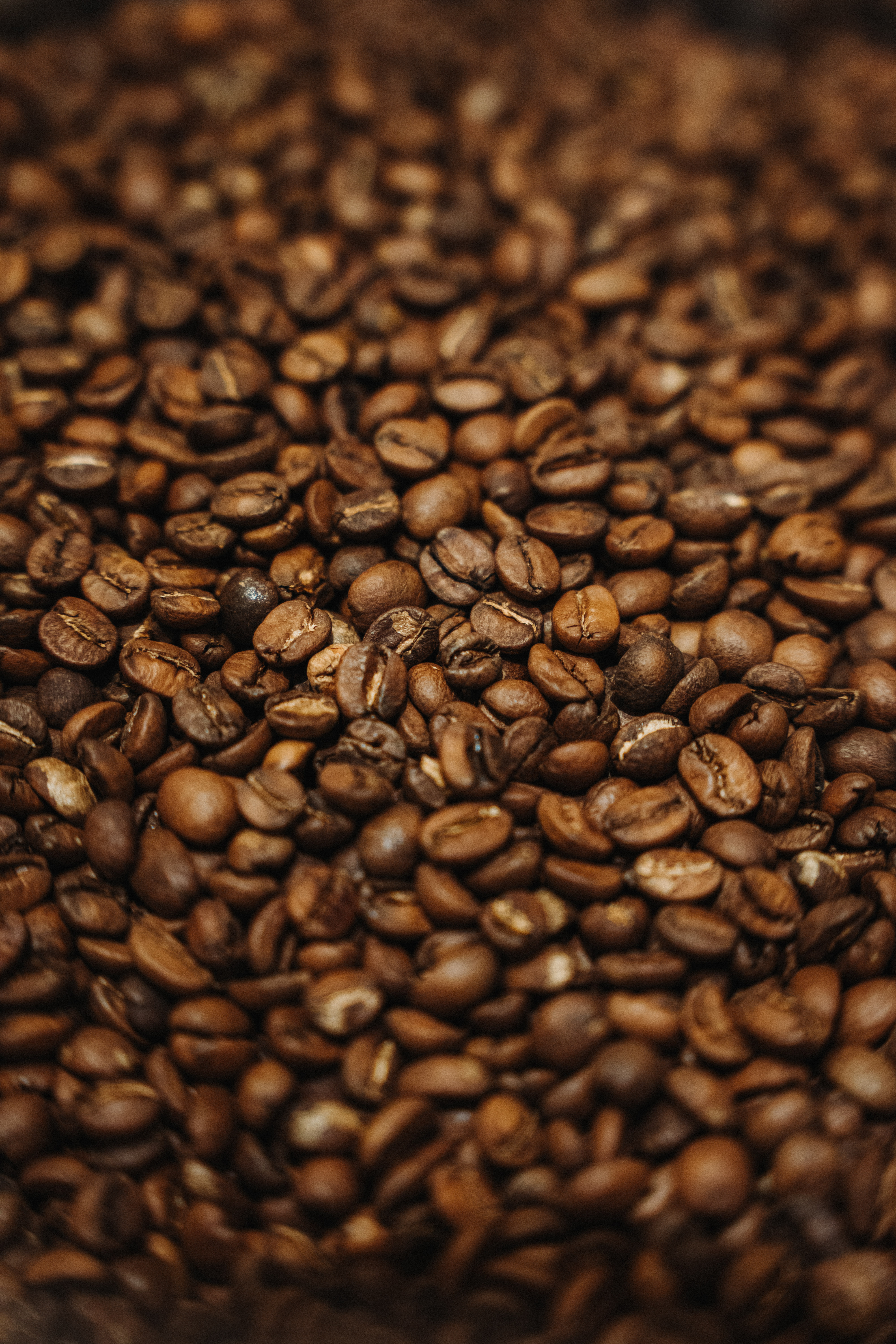 Café de especialidad en grano - Blend Escaramuza