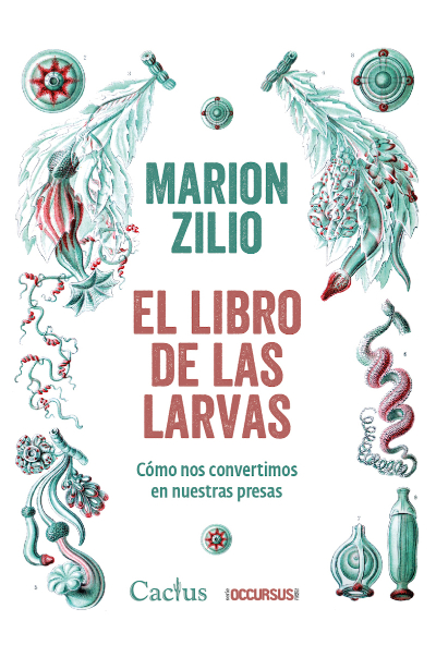 Leé un avance de «El libro de las larvas», de Marion Zilio (Cactus, 2022) 