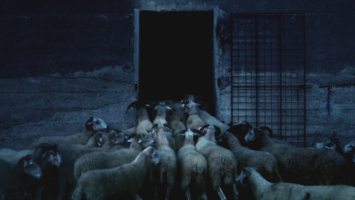 El cine como paisaje: «Bosco», de Alicia Cano