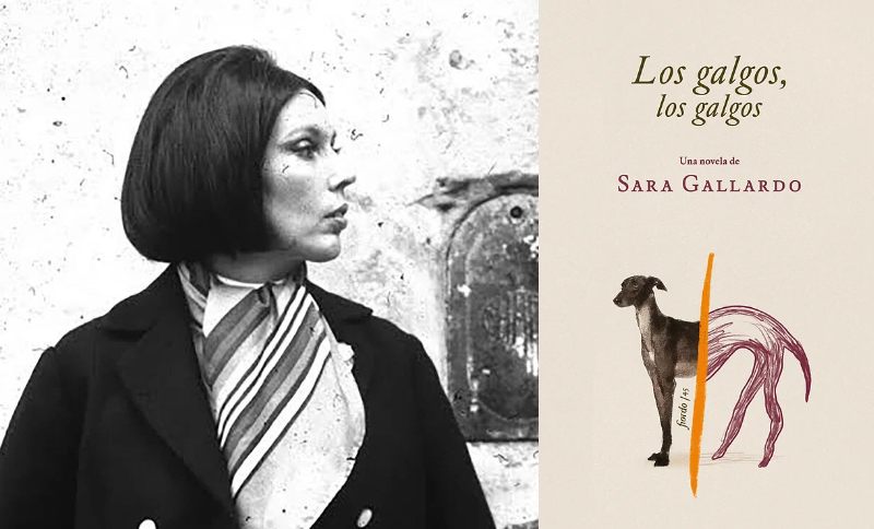 Novelones: «Los galgos, los galgos», de Sara Gallardo