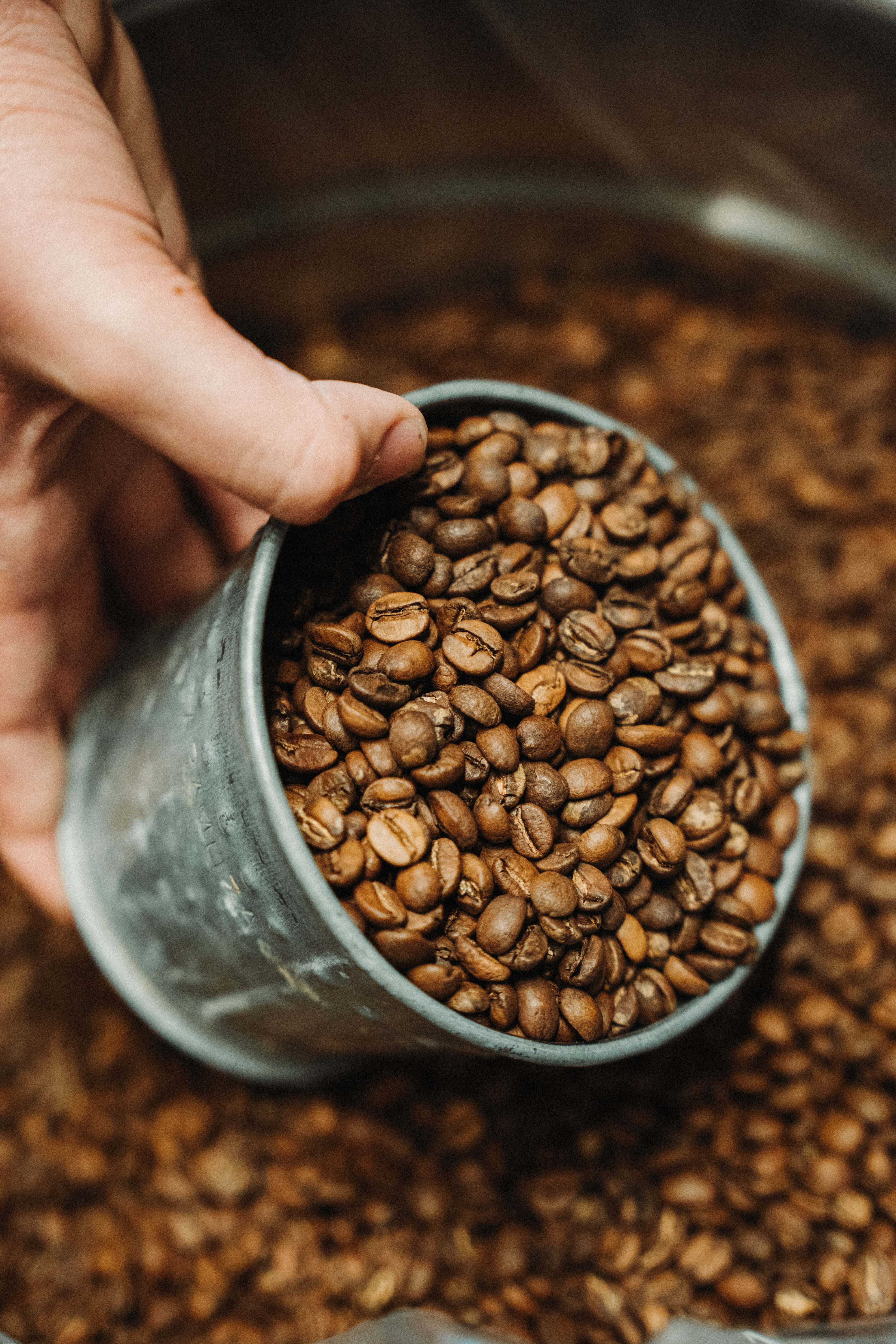 Café de especialidad en grano - Blend Escaramuza