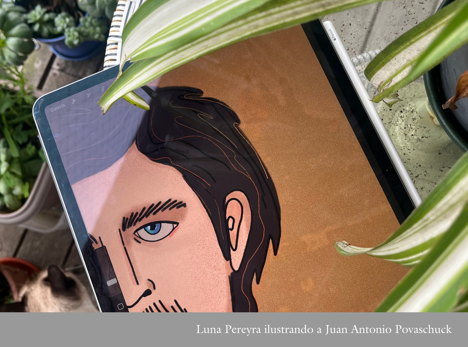 imagen slider