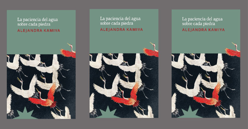 Detenerse en la eternidad del instante: reseña de «La paciencia del agua sobre cada piedra»