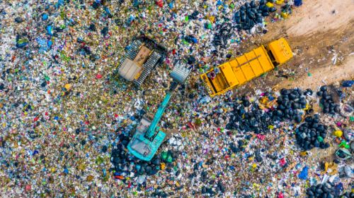 El mito del crecimiento perpetuo: Día Mundial del Medio Ambiente