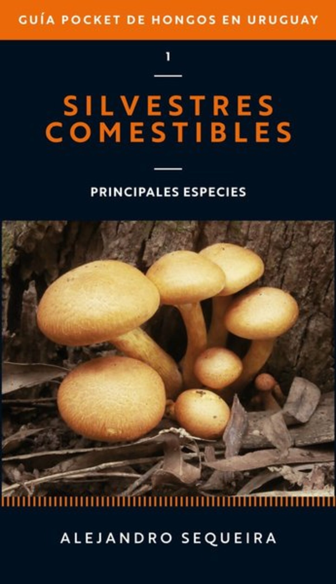 GUÍA POCKET DE HONGOS EN URUGUAY 1. SILVESTRES Y COMESTIBLES