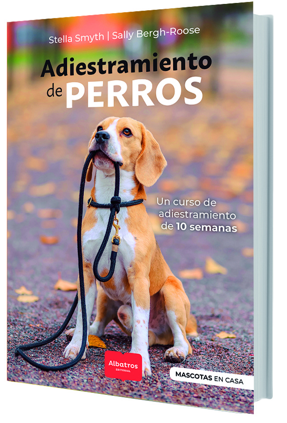 ADIESTRAMENTO DE PERROS