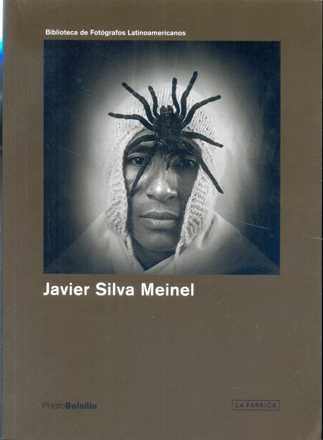 JAVIER SILVA MEINEL
