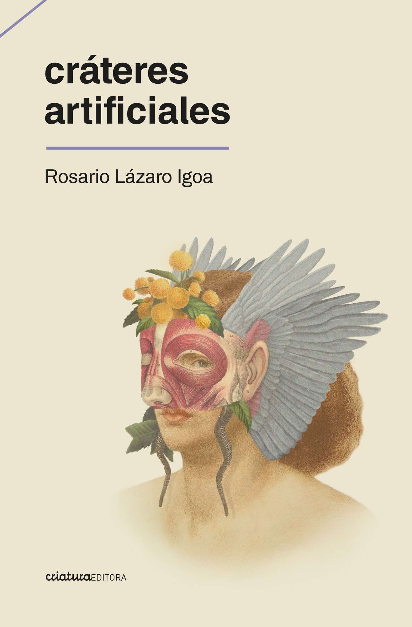 CRÁTERES ARTIFICIALES