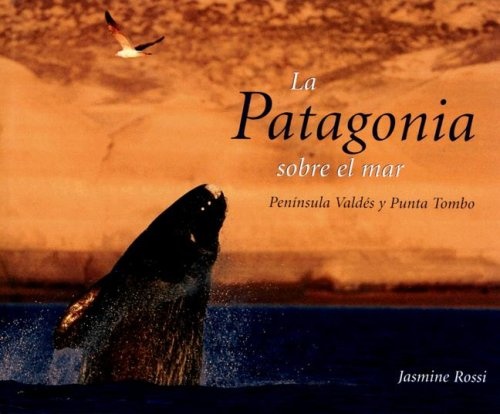 LA PATAGONIA SOBRE EL MAR