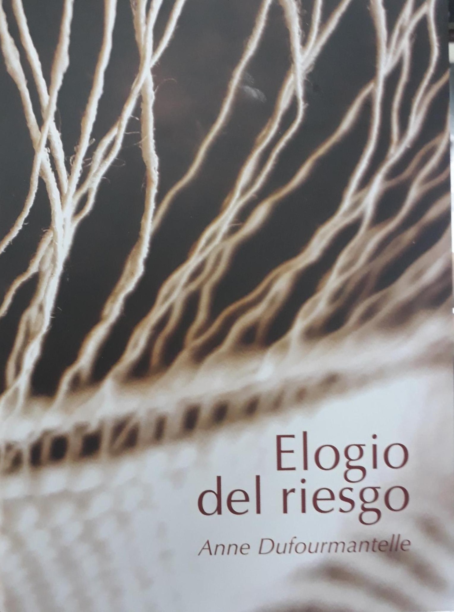 ELOGIO DEL RIESGO