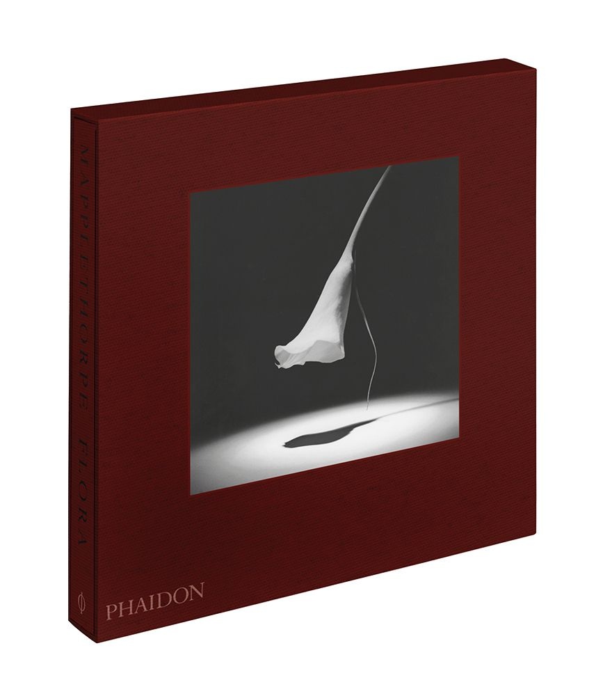 MAPPLETHORPE. FLORA