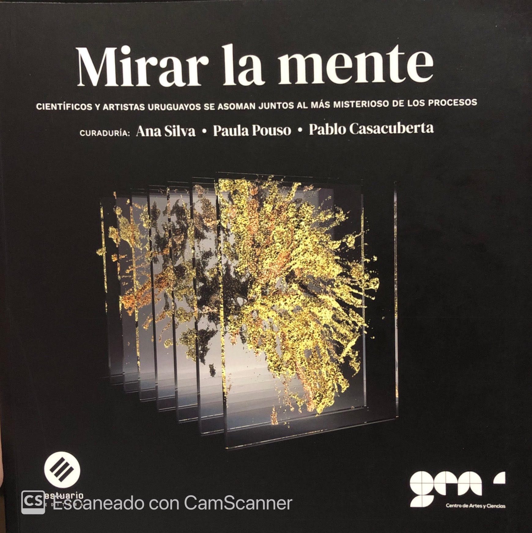 MIRAR LA MENTE