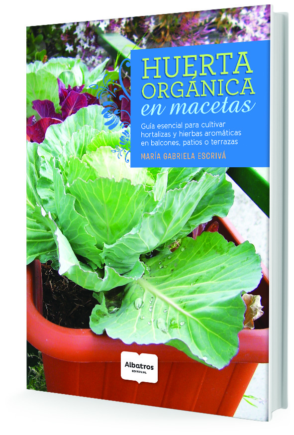 HUERTA ORGÁNICA EN MACETAS
