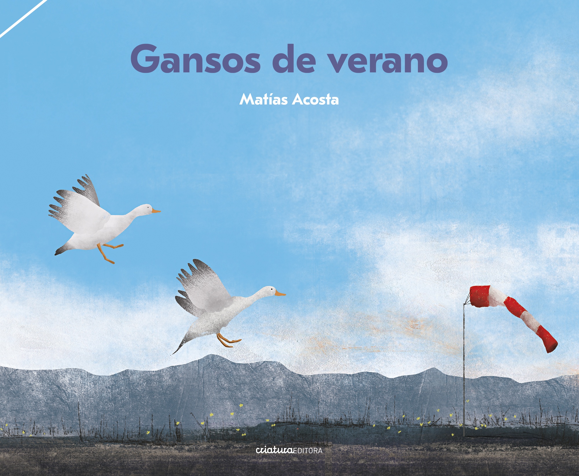 GANSOS DE VERANO