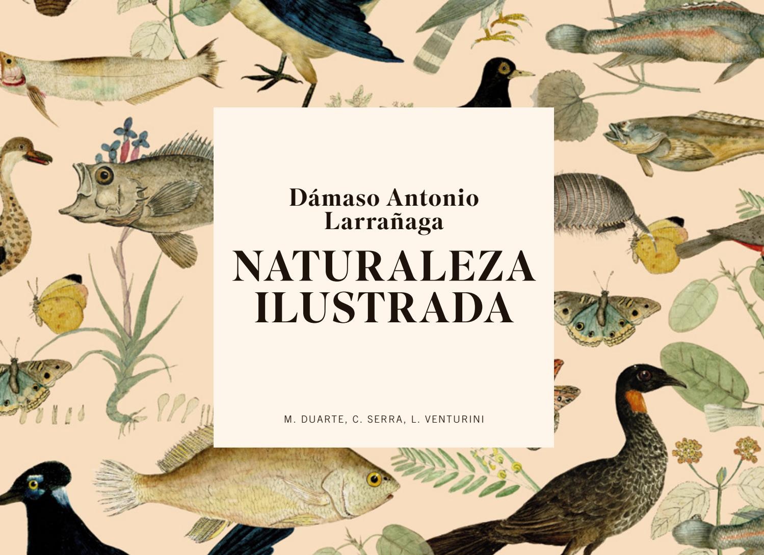 NATURALEZA ILUSTRADA