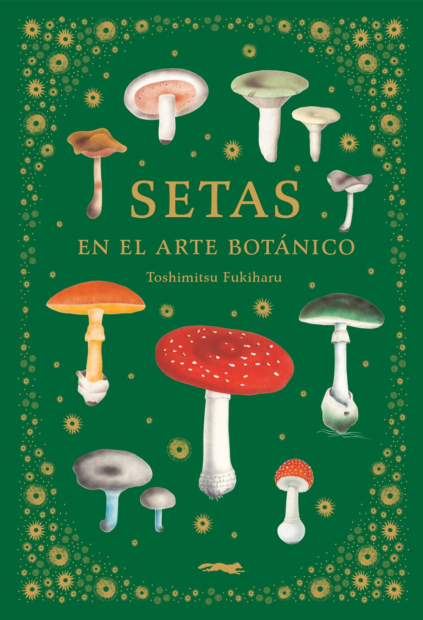 SETAS EN EL ARTE BOTÁNICO
