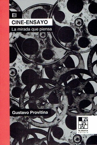 EL CINE-ENSAYO. LA MIRADA QUE PIENSA